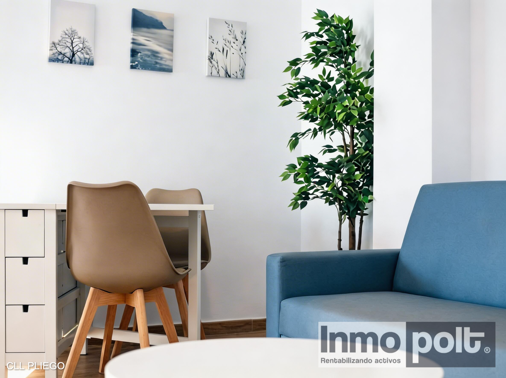 50081_CLL PLIEGO (14).jpg